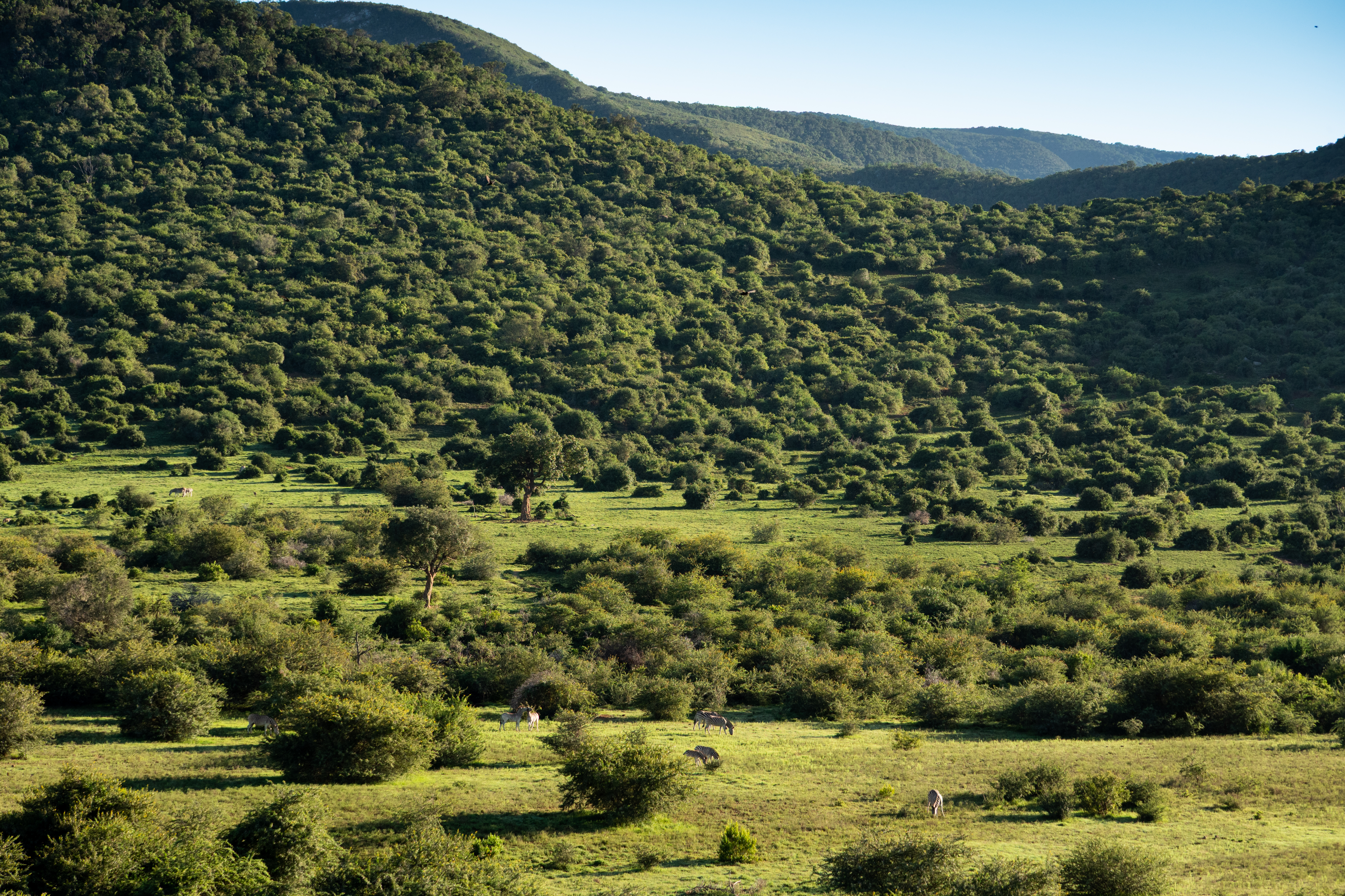 Ausblick vom Nyathi Camp